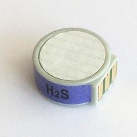 Hydrogen Sulfide sensor (H2S) MicroRAE